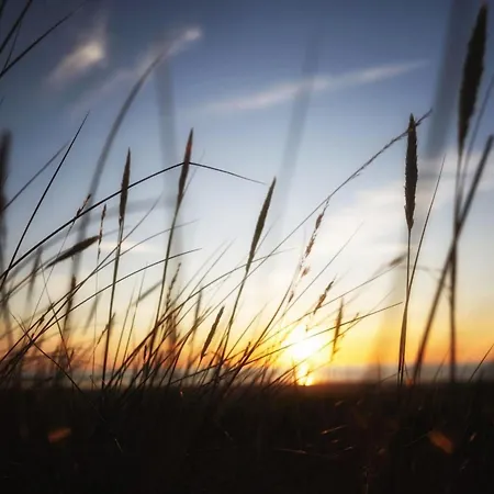 Blakke - 200m From The Sea By Interhome Holiday home Laeso